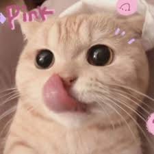 Antonio Castro avatar